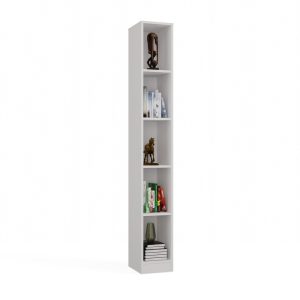 R25_20st_biel_full
