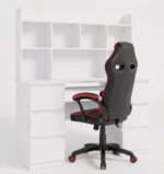 MINIATURA1
