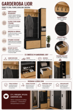 Infografikagarlior-aigen